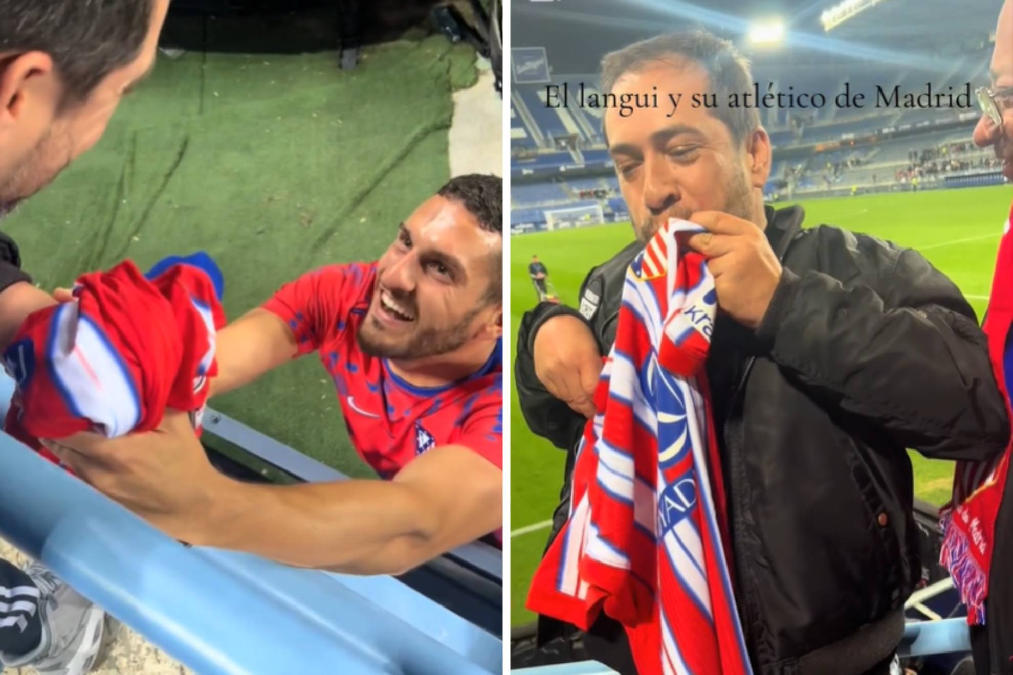 一个鲜明的 一个鲜明的